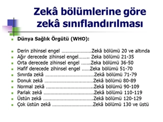 Zeka Bölümleri ve Tanımları