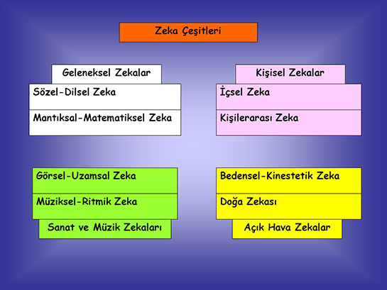 Zeka Çeşitleri Nelerdir?